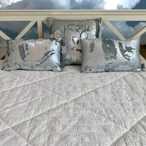 Aviva Stanoff Silver Sequin Pillows